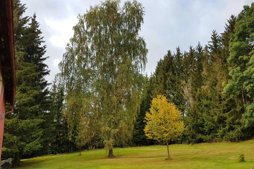 Benneckenstein - foto 34