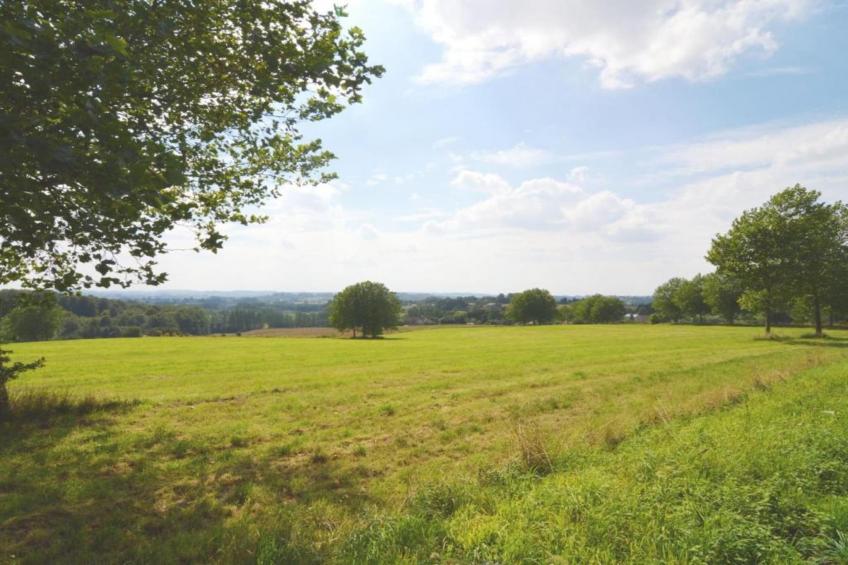 Les Tropiques - foto 26