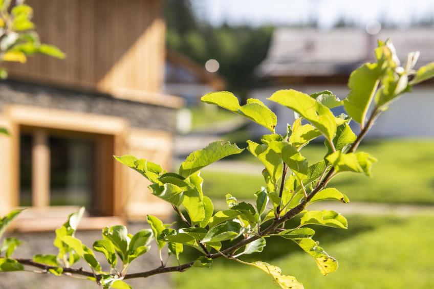 die Dorfidylle "Resi im Dorf" - foto 29