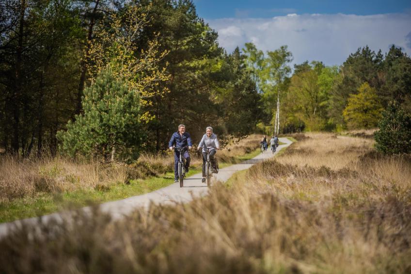 Vakantiepark de Woeste Hoogte 2 - foto 37