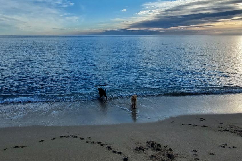 Villa Lona - foto 50