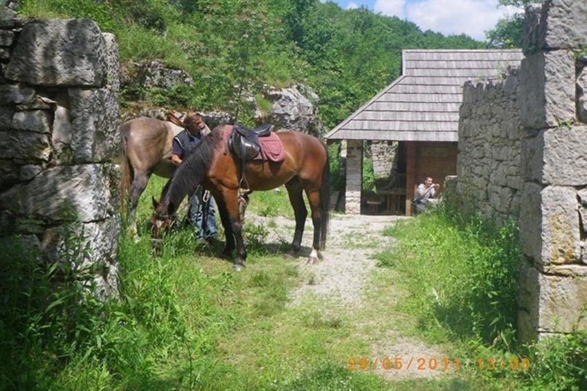 Villa Karina - foto 62