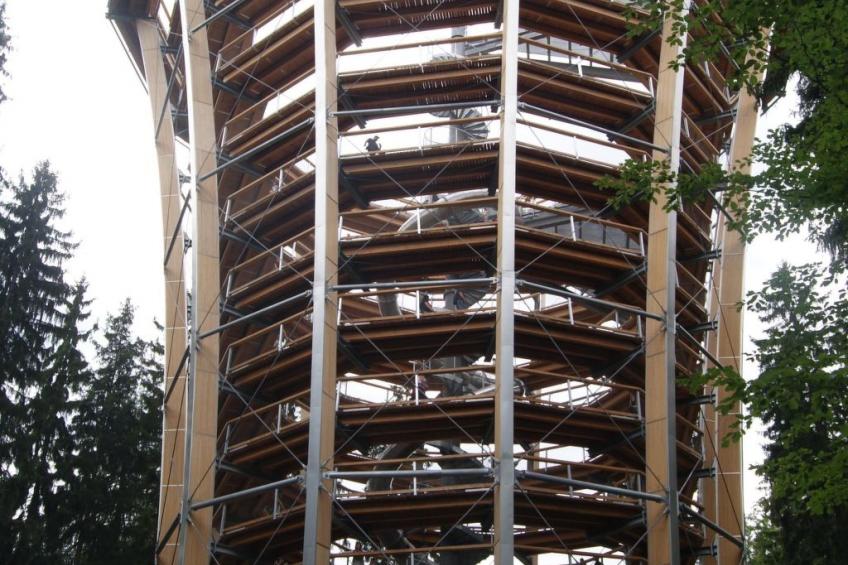 in natürlicher Umgebung - foto 30