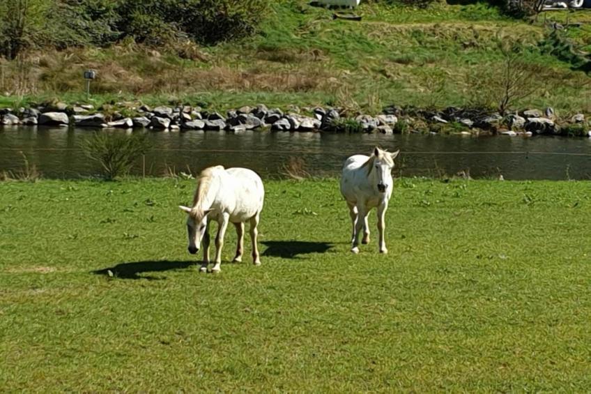 Le Refuge du Poète - foto 28