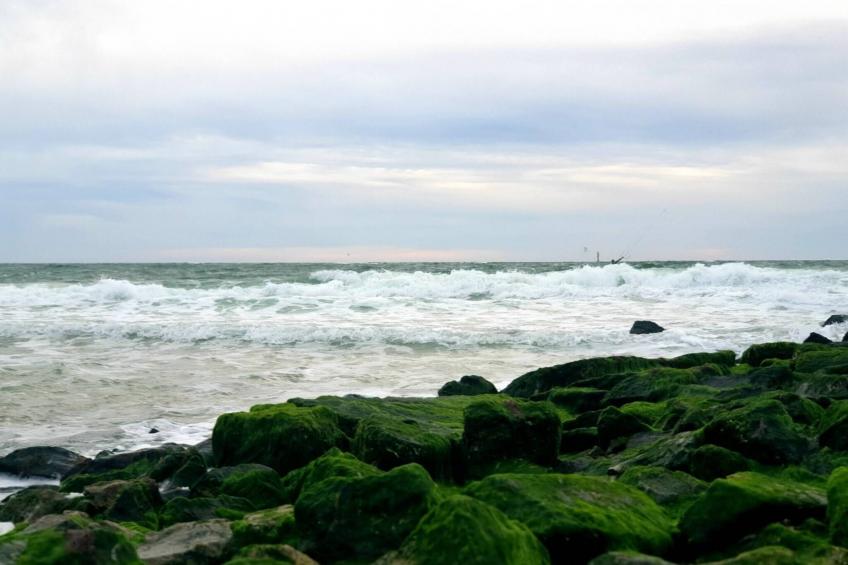 Apartments home Ursula, Westerland - Type F - foto 20