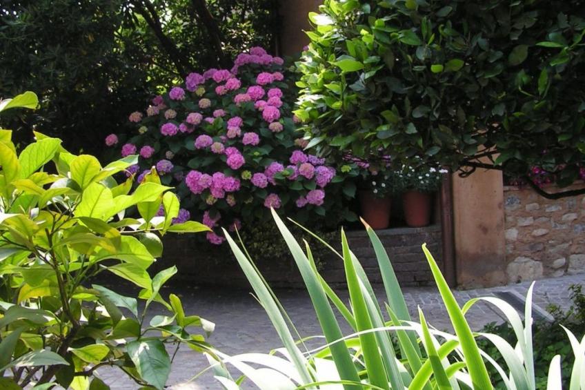 La Badia in Franciacorta 10 min. vom Iseosee entfernt - foto 19