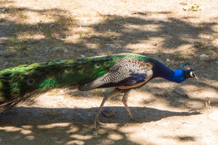 in Murviel-les-Béziers, - foto 21