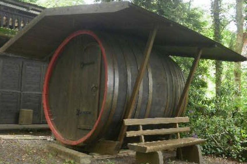 Ederseeblick in Bringhausen am Edersee - foto 16