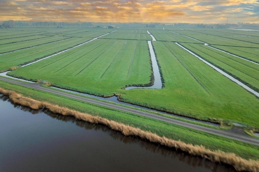 Beets View - foto 43