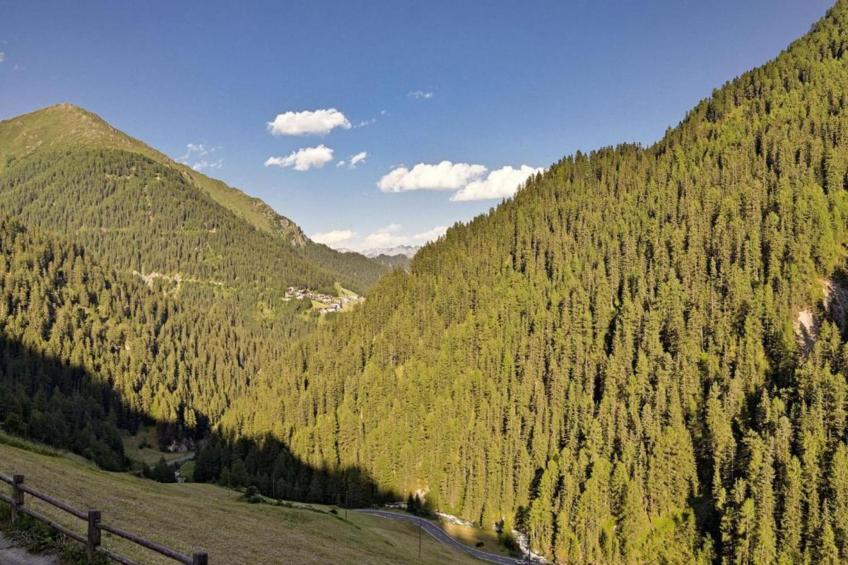 Haus Carnot - Apartment EG - foto 30