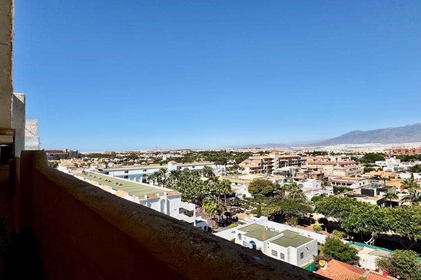 Al Baida - foto 26