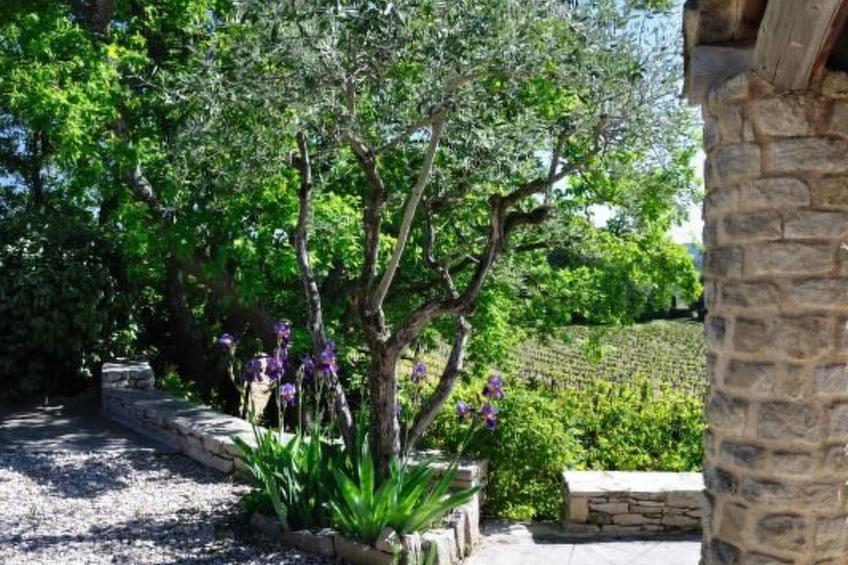 "Haus der Olivenbäume" - foto 31