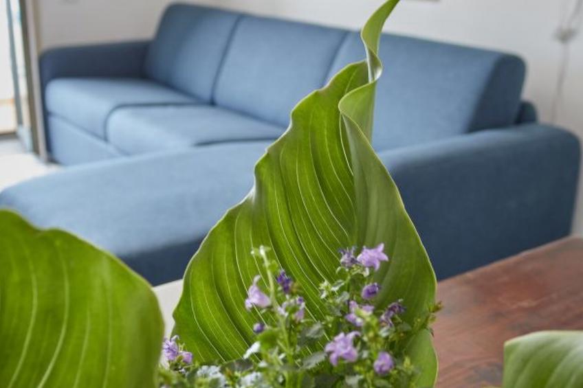 L'affresco caprese a 10 minuti dalla piazzetta - foto 3