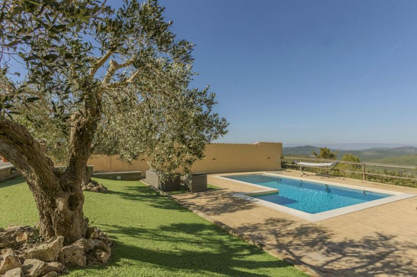 Can Gordei - foto 27