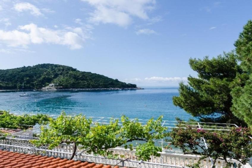 Apartments Franka Saplunara-Double Room with Terrace and Sea View - foto 16