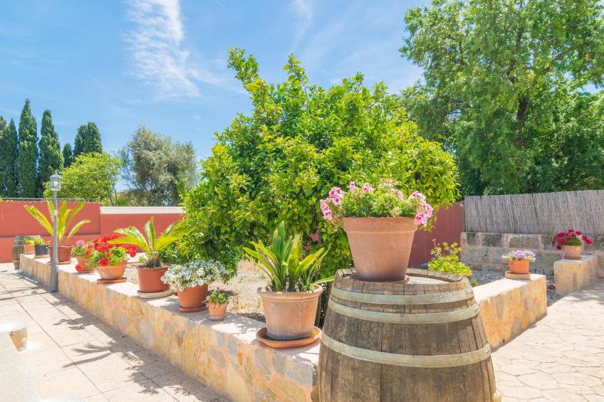 Es Blanquer De Na Fani - foto 56