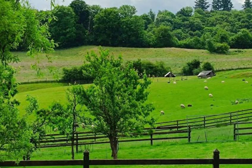 Tiny House Sundancer - foto 10