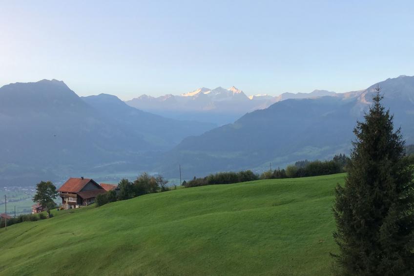 Sunny retreat - foto 15