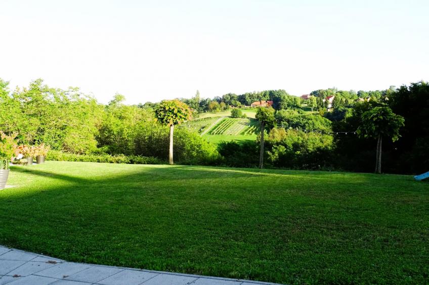 House AdaliA - foto 29