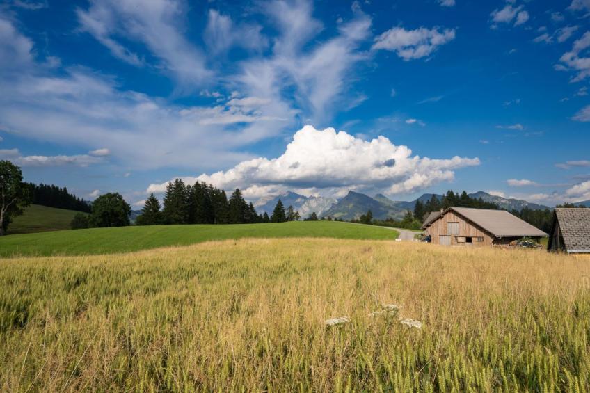 Säntisblick - foto 17