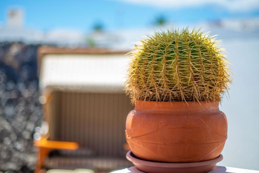 mit Whirlpool - foto 14