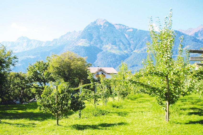 Apartments Etschland, Dorf Tirol - Type A - foto 5