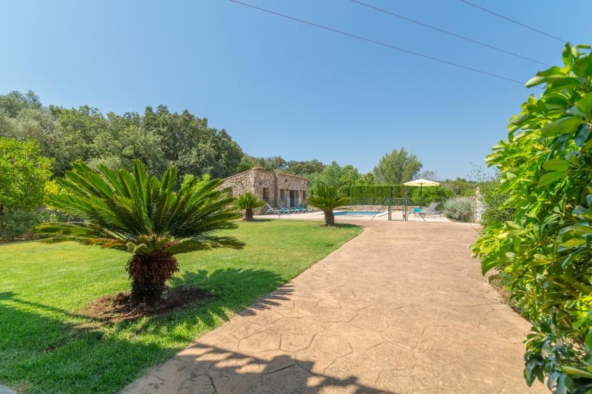 Buitre negro, Finca 5StarsHome Mallorca - foto 35