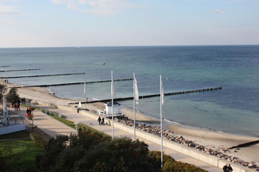 118658 - foto 18
