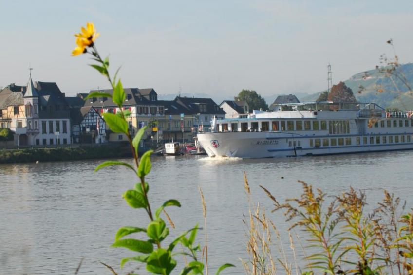 Gerä¤umige Ferienwohnung in Lay am Moselhang - foto 15