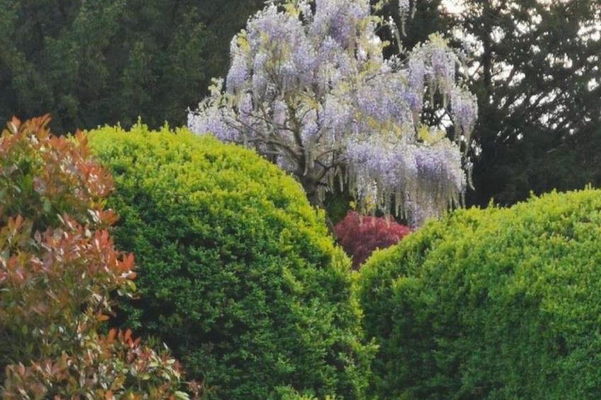 für 8 Personen - foto 7