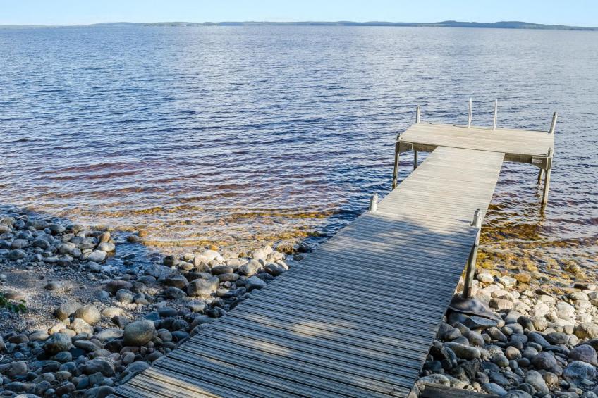 Koli, honkakoli 3 - foto 3