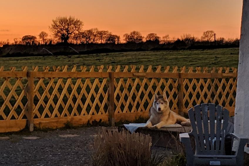 Helles, offenes Ferienhaus, Gemeinschaftspool Hunde - foto 30