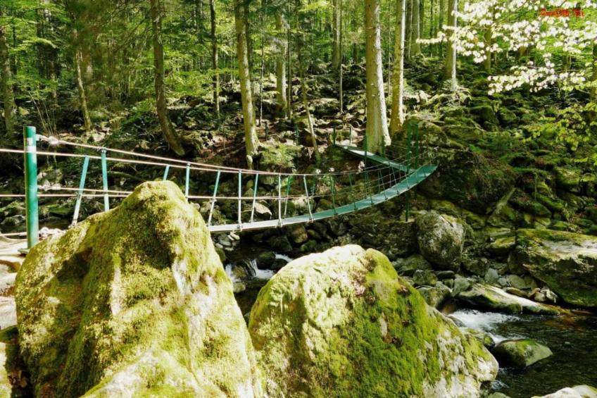 Geyersberg Freyung-Typ B Komfort - foto 33