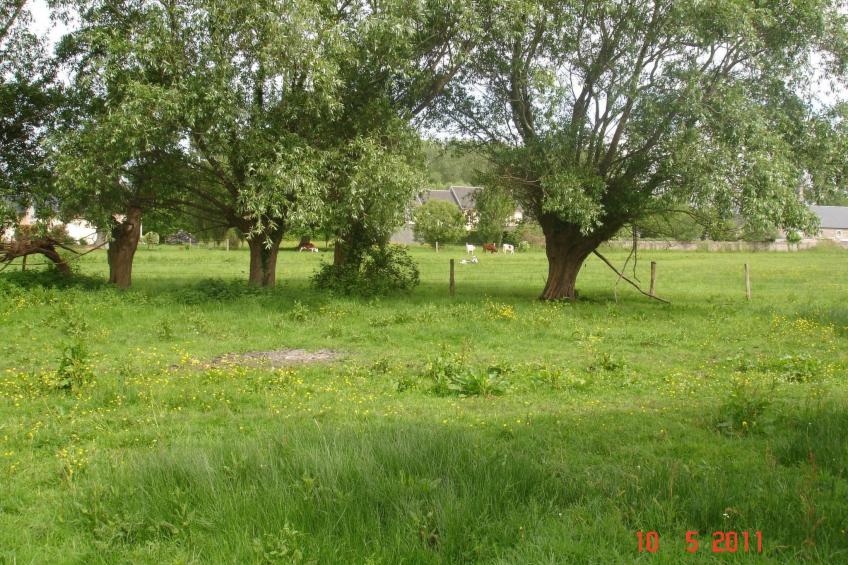 "Pavillon" mit eigenem Parkplatz - foto 13