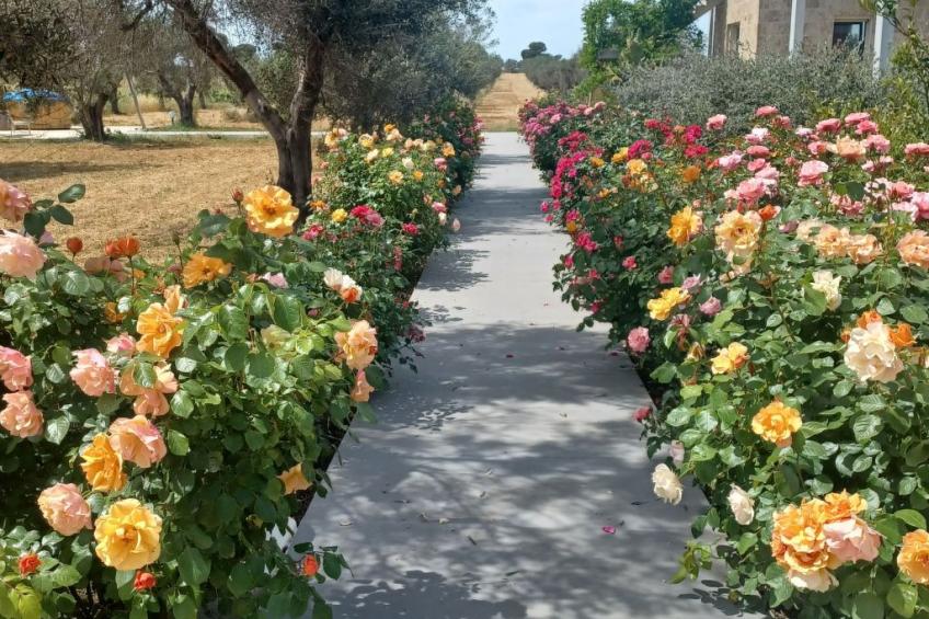 Das "Carolea-Zimmer" zwischen Meer und Landschaft - foto 9
