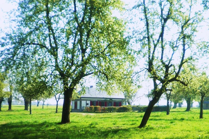 "La Petite Cauvinière" - foto 13