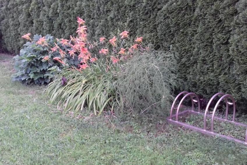 Klimatisiertes Ferienhaus in Bükfürdö mit Garten - foto 26