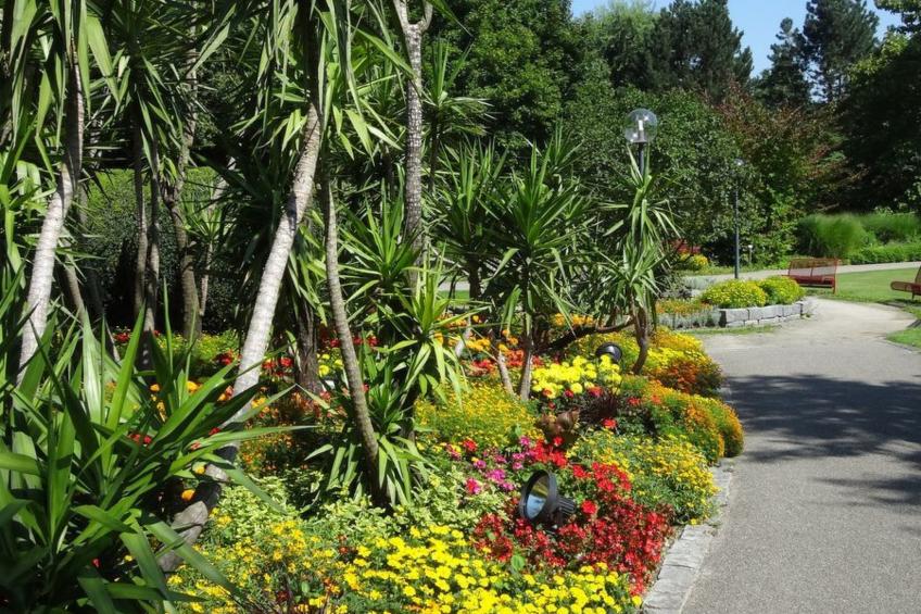 Herrliche Ferienwohnung mit Grill und Garten - foto 18