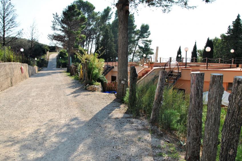 Marilena - foto 22