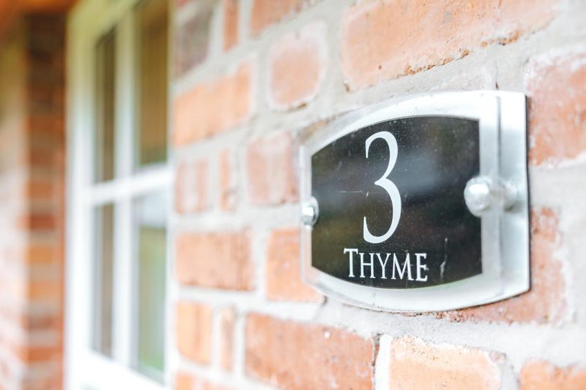 Netley Hall - Thyme - foto 18