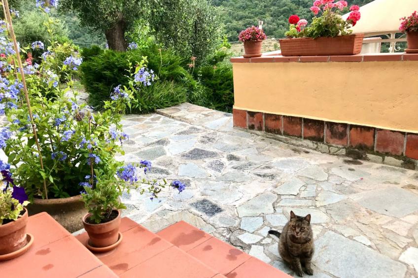 Casa Belvedere - foto 5