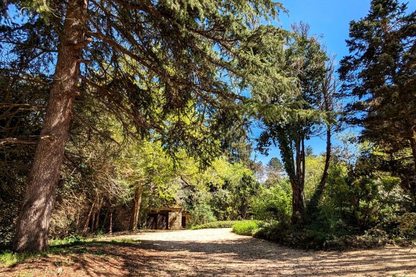Studio "Vert d'Eau" mit Blick auf das Wasser - foto 11