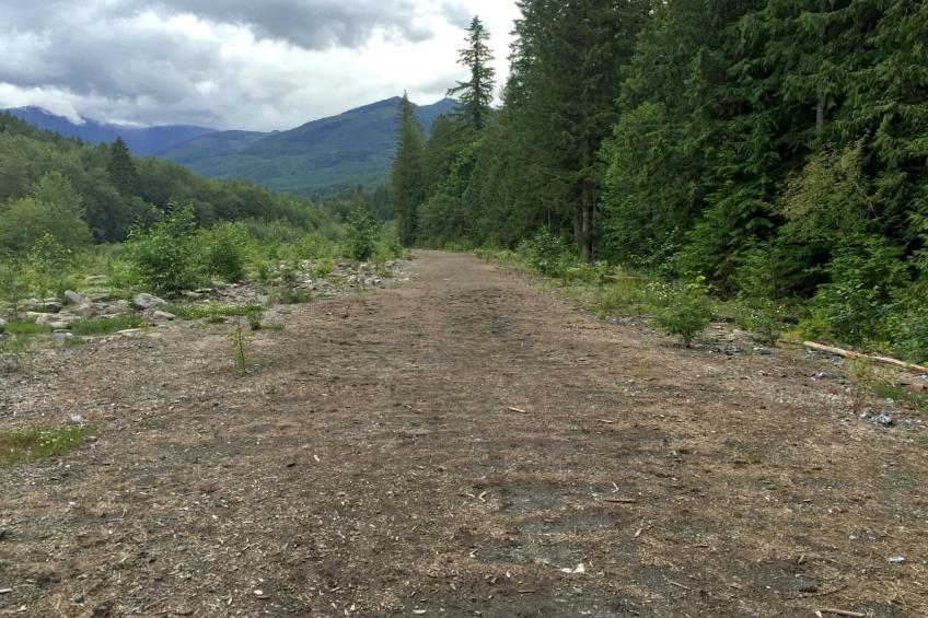 Historisches Blockhaus - foto 26