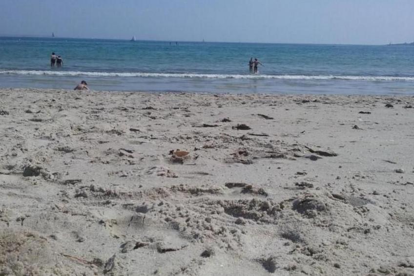 Cap Coz Cottage 500m vom Sandstrand entfernt - foto 21