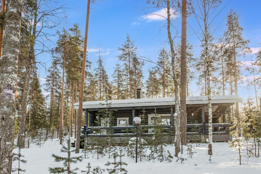 Joutsen, loma-aution lomamökit - foto 3