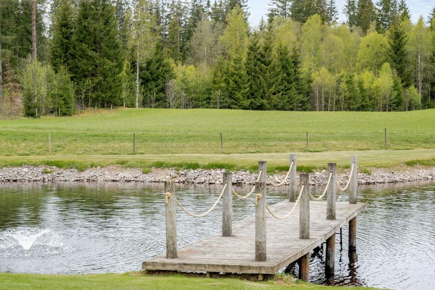 Lövåsen - foto 20