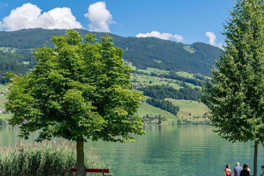 Verena's B&B - foto 30