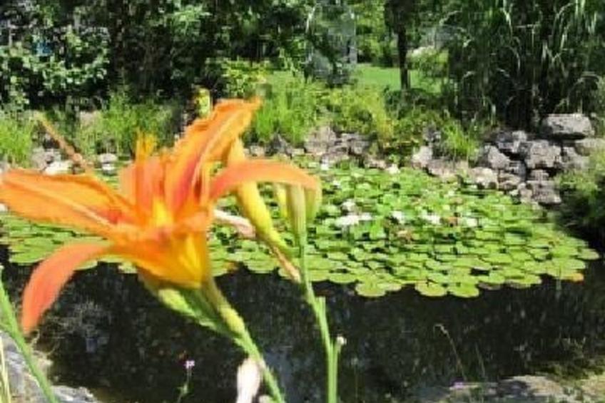 Blaues Haus - foto 20