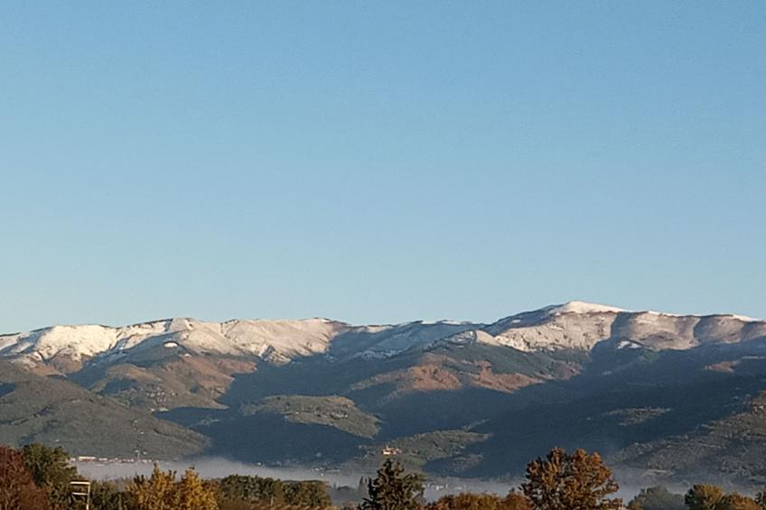 Wohnung in gemütlichem kleinen Bauernhaus - foto 38