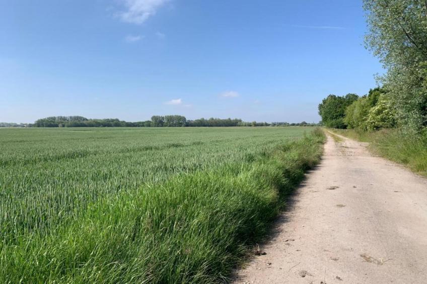 SUN BEACH I - foto 31